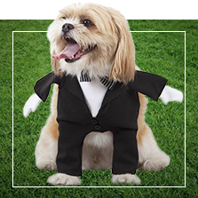 Disfraces para Mascotas